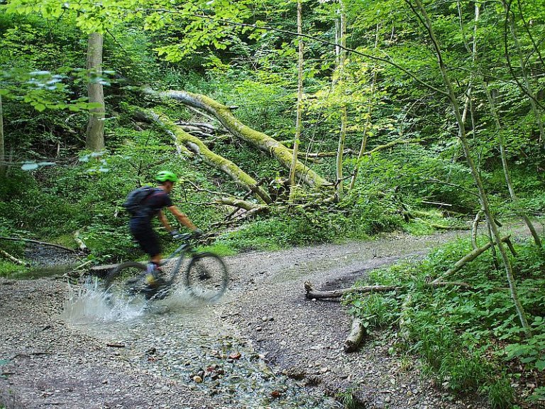 Radfahrer im Wald